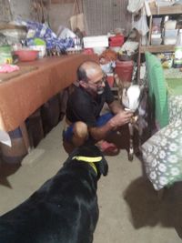 Rear view of man working with dog