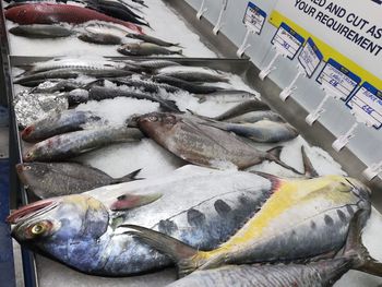 Close-up of fish for sale in market