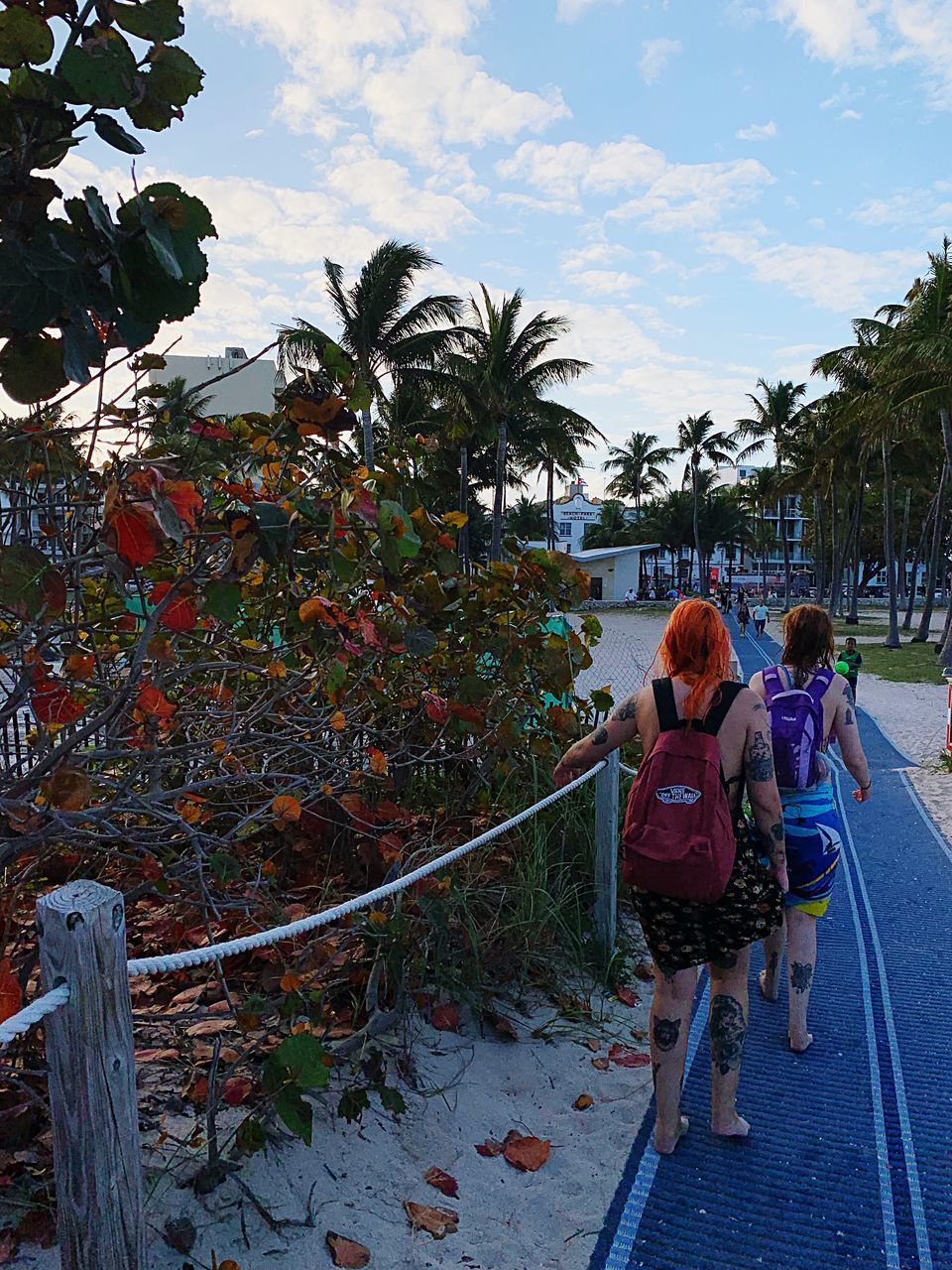 REAR VIEW OF PEOPLE WALKING ON PLANTS