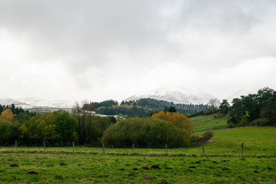 Scenic view of landscape against sky