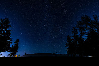 Low angle view of starry sky