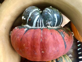 Close-up of pumpkin