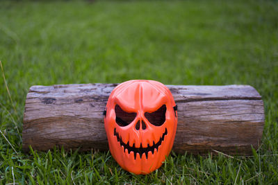 Close-up of pumpkin on field