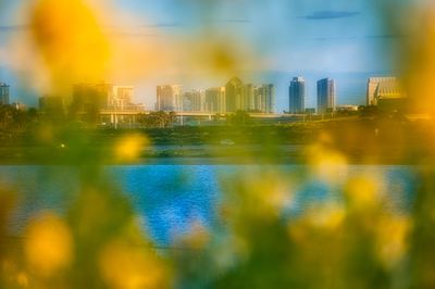 city
