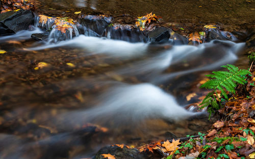 Stream flowing through rocks in forest during autumn