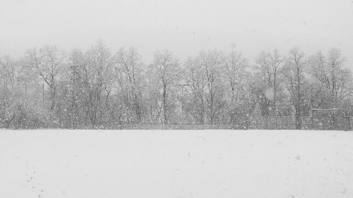 Bare trees on snow covered landscape against clear sky