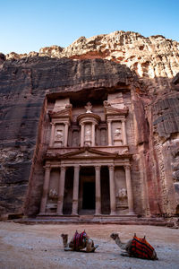 Camels resting against old ruins