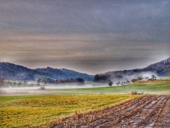 Scenic view of field against sky