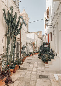 Street amidst buildings against sky