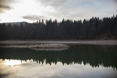 Reflection of trees in lake against sky
