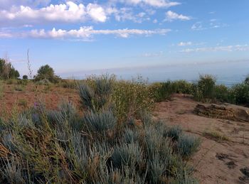 Scenic view of landscape against sky