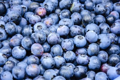 Full frame shot of blueberries