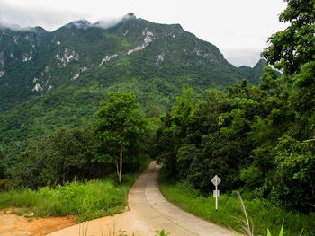 Road amidst trees in forest against sky