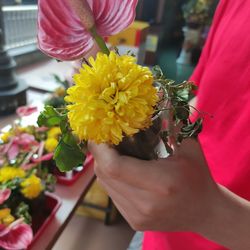 Close-up of hand holding yellow flower