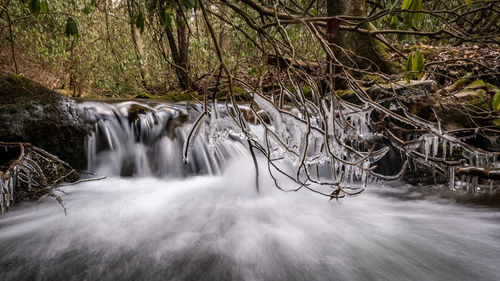 Scenic view of waterfall in forest