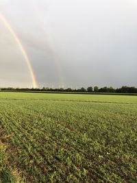 Scenic view of field against rainbow in sky