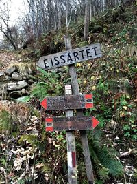 Information sign in forest