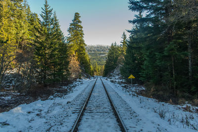 Railway tracks amidst trees against clear sky during winter
