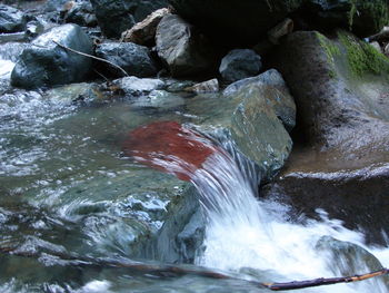 Scenic view of waterfall