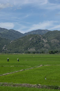 Scenic view of landscape and mountains against sky