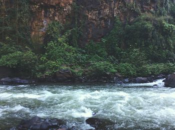 Scenic view of waterfall in forest