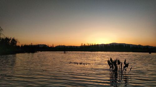 Scenic view of lake against clear sky during sunset