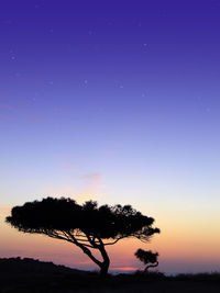 Silhouette tree against clear sky at sunset