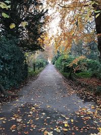 Wet road amidst trees during autumn