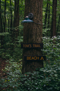 Information sign on tree trunk in forest