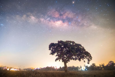 star