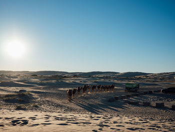 View of a desert