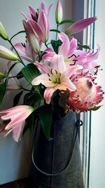 Close-up of pink flowers