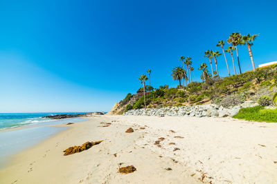 Scenic view of beach against clear blue sky