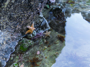 High angle view of snow on rock