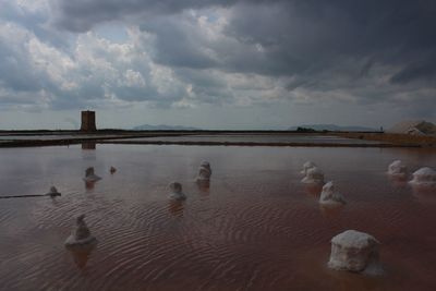 View of birds in lake against cloudy sky