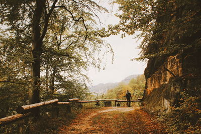 People walking on road amidst trees in forest against sky