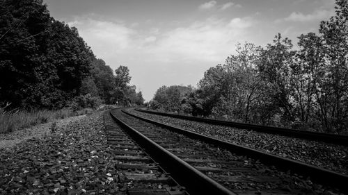 Railway tracks amidst trees against sky