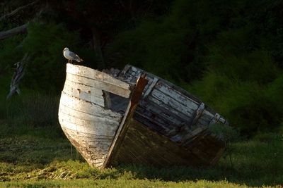Abandoned boat on grass against trees