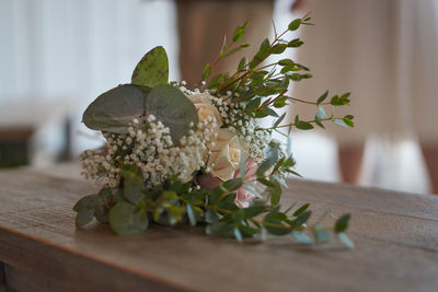 Close-up of flowering plant on table