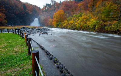 Scenic view of river during autumn