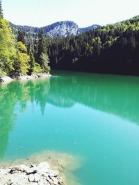 Scenic view of lake by trees against blue sky