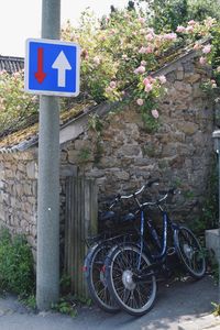 Information sign on tree trunk
