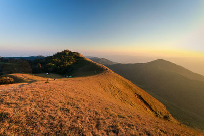 Scenic view of landscape against clear sky during sunset