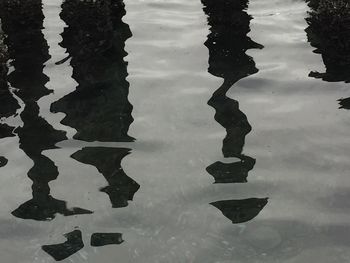 Reflection of clouds in water
