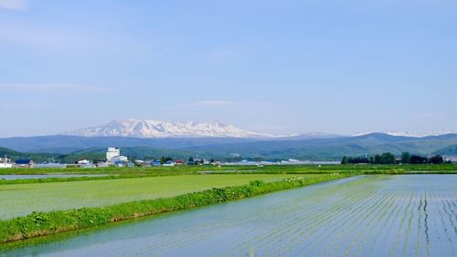 Scenic view of field against sky