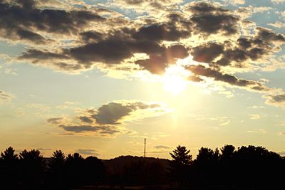 Low angle view of silhouette trees against sky