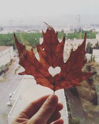 Cropped hand of woman holding maple leaf by wet window during autumn