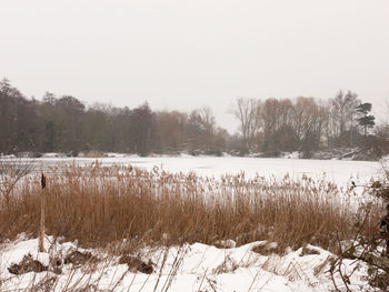 Scenic view of frozen lake against sky during winter