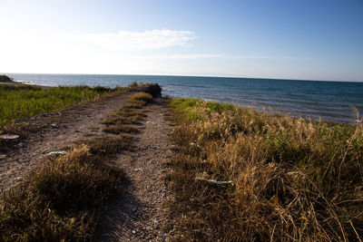 Close-up of grass by sea against sky