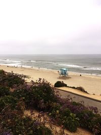 Scenic view of beach